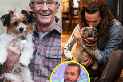 Pete Wicks branded the new Paul O’Grady as fans in tears over ‘wonderful’ new dog rescue show