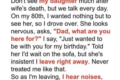 Old Man Goes to Visit Daughter for His 80th Birthday, She Doesn’t Let Him Enter Her House