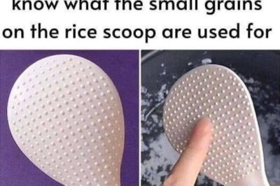 There’s a Reason Your Rice Cooker Came With a Paddle- Here’s How To Use It