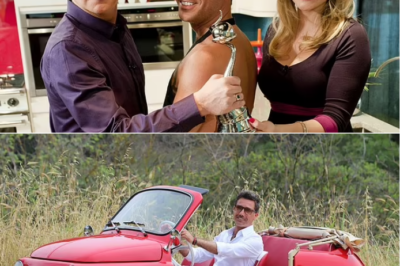 EXCLUSIVEGino D’Acampo is axed by ITV over ‘sexually inappropriate’ behaviour: Broadcaster pulls all TV chef’s upcoming shows from schedules as he faces ‘dozens’ of misconduct claims