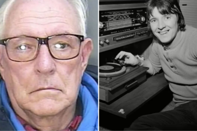 Paedophile ex-BBC Radio 1 DJ dies after falling into river
