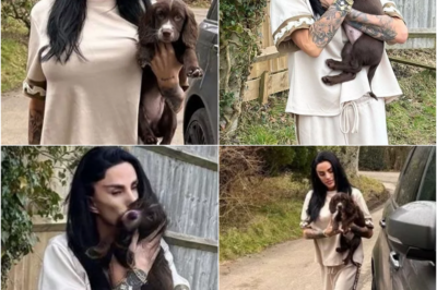 Katie Price CUDDLES NEW DOG after PETITION to BAN her from OWNING PETS