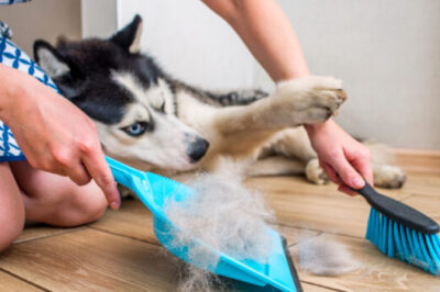 8 subtle signs that a person does not clean their home