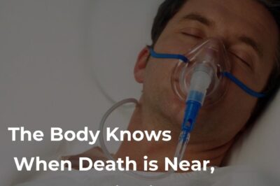 The Body Knows When Death is Near, and It Begins in Your Nose