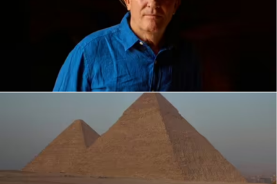 Bradley Walsh’s replacement on The Chase tipped after ITV host announces new project