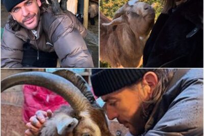 Pete Wicks enjoys cosy REUNION with Strictly’s Jowita after Maura’s K!SS with Danny Jones!