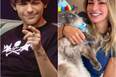 Zara McDermott and Louis Tomlinson ROMANCE confirmed as they enjoy COSY HOTEL DATE, leaving no doubt.