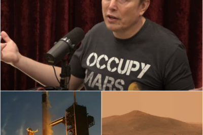 SpaceX to send Starship to Mars next year, Elon Musk confirms