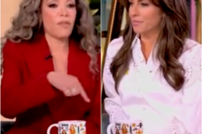 ‘The View’ co-hosts cheerlead for Rosie O’Donnell fleeing to Ireland