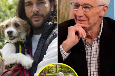 OH! Pete Wicks branded the new Paul O’Grady as fans in tears over ‘WONDERFUL’ new dog rescue show!