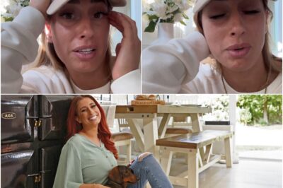 Stacey Solomon shares HEARTBREAKING update on dog Teddy: “I’VE CRIED A LOT” 💔