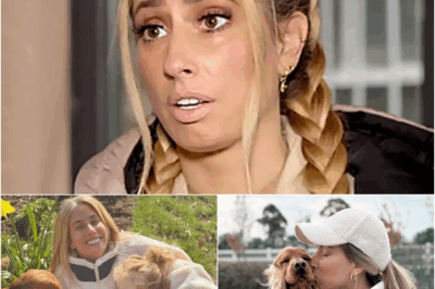 STACEY SOLOMON BREAKS HEARTS: Opens up about ‘HORRIFIC’ family grief that left them shattered – Fans in TEARS rush to show support!
