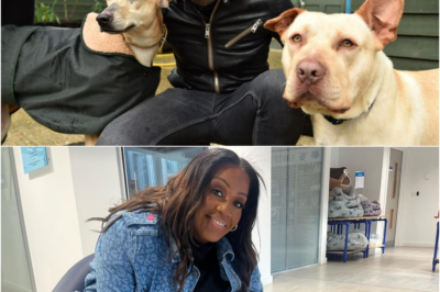 “It’s truly overwhelming how many fans have voiced their hopes for who should become the new host of For The Love Of Dogs. What stands out is the shared sense of compassion for the animals featured in the show. And now, the moment everyone’s been waiting for has finally been confirmed.”