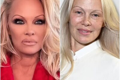 ‘She LOOKS even better than she did in the 90s!’ 😍