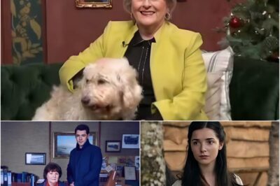 Brenda Blethyn lands major new r0le in eight-part series after QUITTING Vera