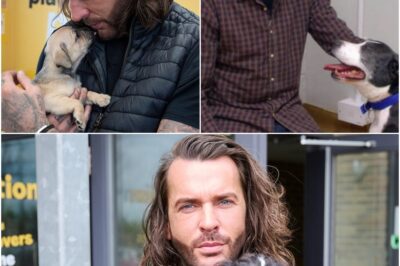 Pete Wicks Secures Second Series of ‘For Dogs’ Sake,’ Named ‘A Perfect Successor to Paul O’Grady.’
