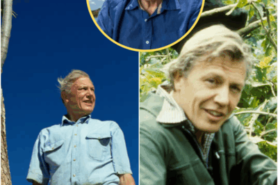Happy 99th, Sir David Attenborough — And Here Are 99 Reasons the World Can’t Stop Thanking Him From Barack Obama to Billie Eilish, the tributes say it all: He Gave Nature a Voice — And the Whole World Is Saying Thank You