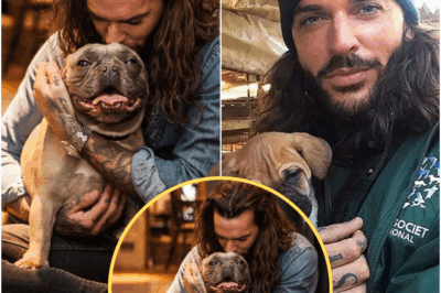 Tears, Hope, and One Last Mission: Pete Wicks Fights to Save Stray Dogs in the Emotional Series Finale