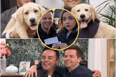 Anthony McPartlin and Declan Donnelly Just Bought a £500,000 Farm — But They’re Not Moving In… They’re Moving Animals In.