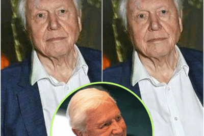 Sir David Attenborough shares heartbreaking statement as he admits he’s ‘nearing the end of his life’
