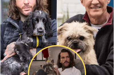 Pete Wicks ‘lands second series’ of For Dogs’ Sake: ‘A worthy successor to Paul O’Grady’