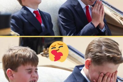 CAUGHT ON CAMERA: George Couldn’t Hold Back His Laughter By Louis’ Adorable Antics Stealing The Show At Trooping! Fans Spot a Jaw-Dropping Detail on Louis’ Face, Calling It “INCREDIBLE”!