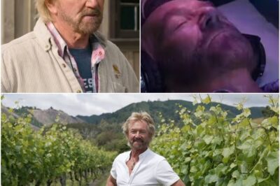 Noel Edmonds has made a return to British TV as he shines a light on his new life halfway across the world but many viewers were gobsmacked. Noel Edmonds leaves viewers asking questions just minutes into big TV comeback