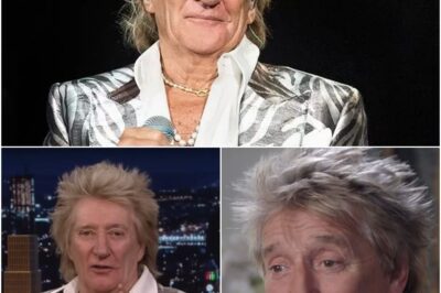 Fans expressed CONCERN  Sir Rod Stewart sparks health concerns as he pulls out of gig hours before heading on stage: ‘I’M SORRY’