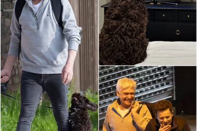Phillip Schofield Sh0cks Fans with Surprise Return – TV Comeback ON the Horizon?