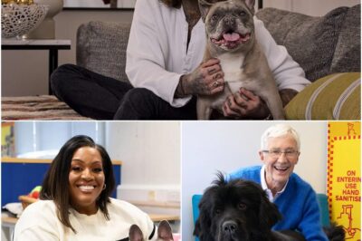 It’s Official: The New Face of For The Love Of Dogs Revealed — Fans Are Stunned by the Choice! 🐶😱