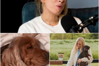Stacey Solomon’s HEARTBREAK over dog Teddy as she shares “SAD” statement