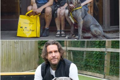 “He’s Finally Home.” — Pete Wicks Breaks Down as Dying Dog Theo Finds Family for His Final Days