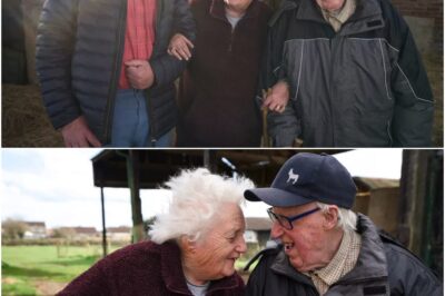 96-year-old left in tears as wife of 45 years hospitalised – their reunion melts hearts. No nights apart in 45 years – until now: Yorkshire couple’s emotional hospital split