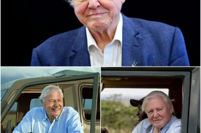 David Attenborough’s W0RST on-set injuries after star, 99, ‘KN0CKED UNCONSCIOUS’