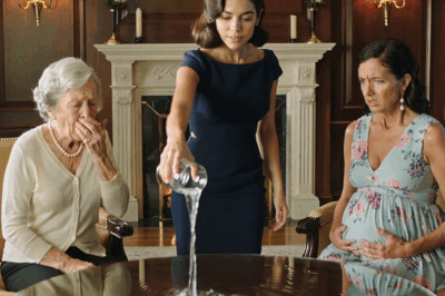 My husband’s mistress became pregnant, and his family demanded that I divorce him to make room for her. I only smiled—and one sentence from me left all four of them pale with fear