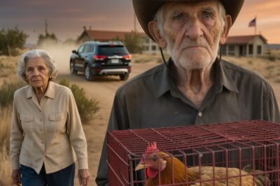 He left his elderly parents on a dusty country road with only a hen, treating them like a burden as he sped away as if they were strangers; on the day in court, a will forgotten inside an old Bible suddenly surfaced, revealing that he was the one who had been hiding a multimillion-dollar land fortune.